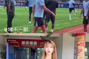 申花赛前踩场，路易斯复出在即?球场惊现“小学生打架”事件